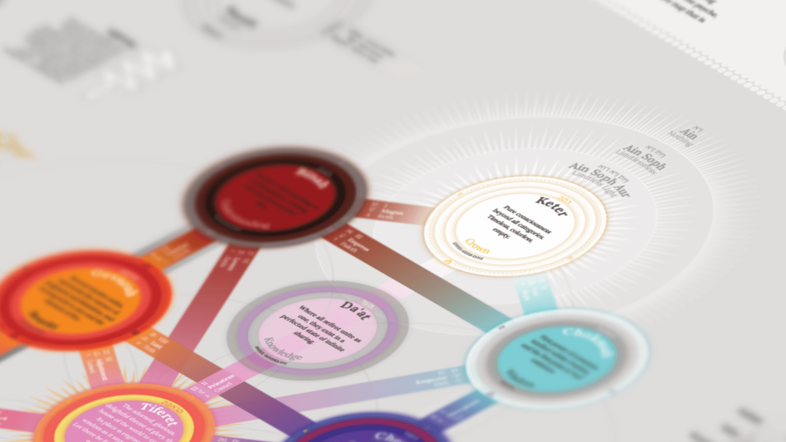 Tree of Life diagram variation D